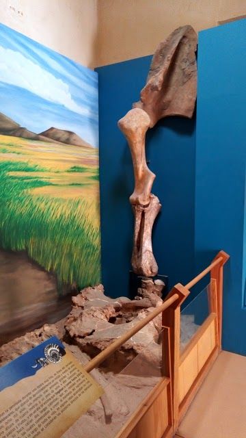 Museo Historico Regional de Ensenada